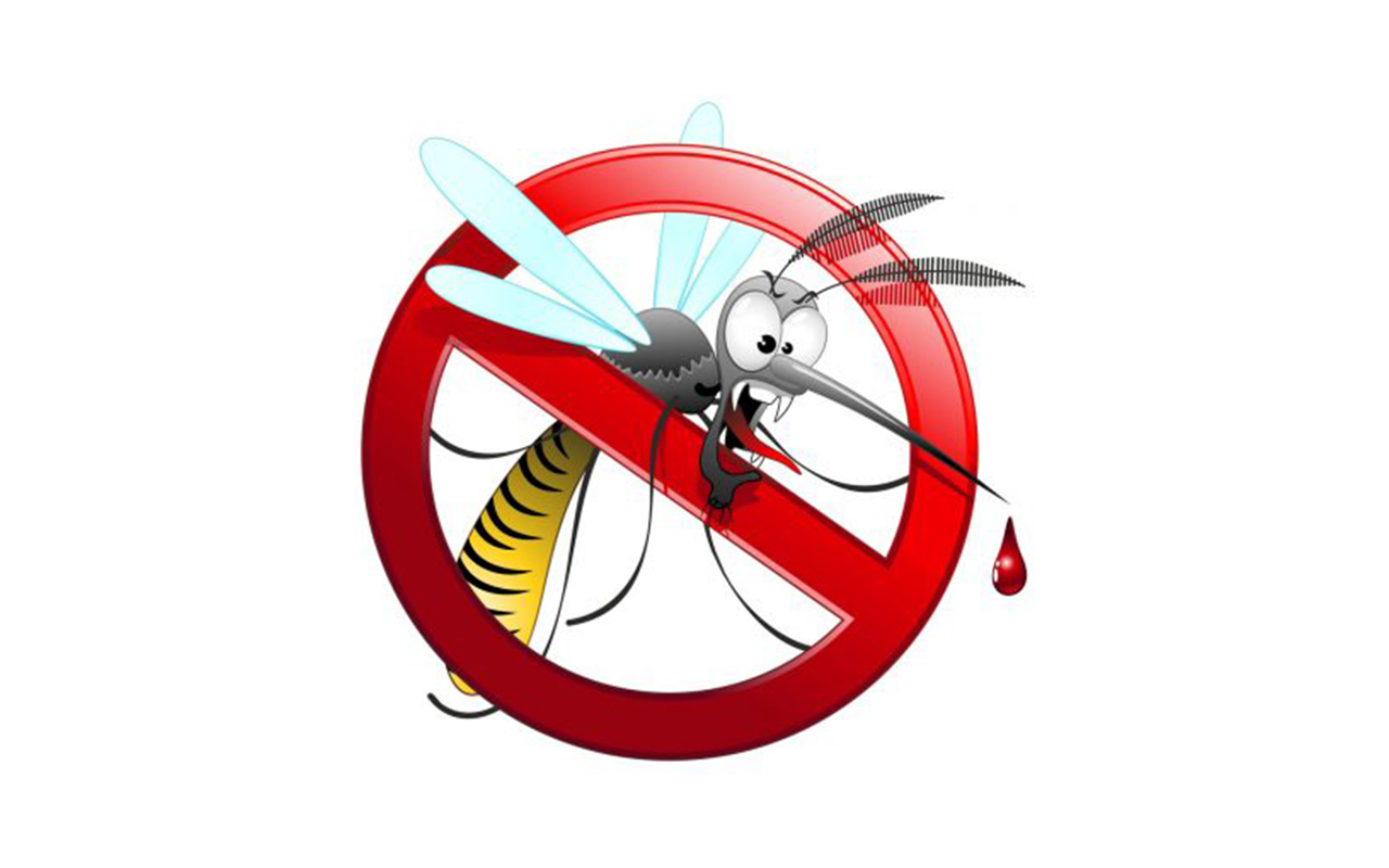Allarme zanzare: arriva la app per localizzarle